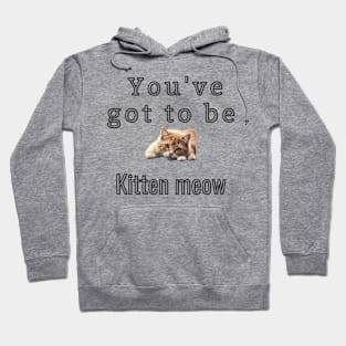 You've got to be kitten meow Hoodie